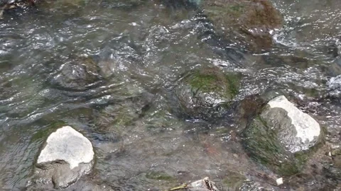 Unique rapids. Small stones naturally arranged in the middle of the river water Stock Footage 237899656