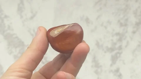 A Unique Red Stone Featuring Beautifully Intricate Patterns and Designs that Vídeo Stock 286040197