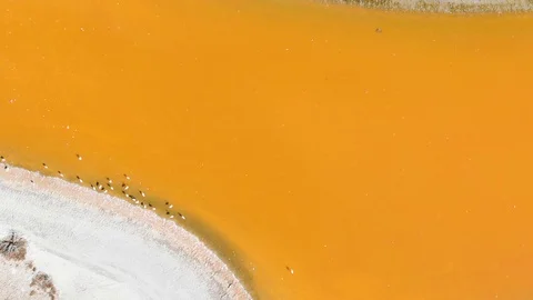 Unique River in the Desert Video stock 129552208