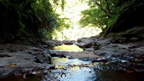 Unique River Potholes Geological Formations Stock Footage 342044042