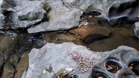 Unique River Potholes Geological Formations Stock Footage 342044308