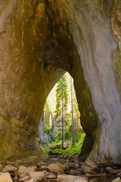 Unique rock formation frames lush forest in a serene wilderness setting Stock Photos