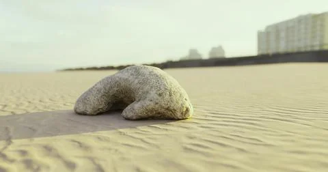 Unique rock formation on sandy beach near coastal buildings at sunset Ilustración de archivo