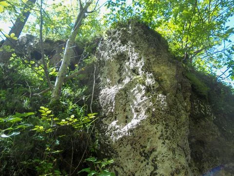 Unique rock formation surrounded by greenery Stock Photos