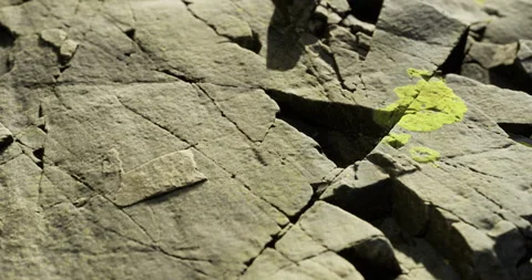 Unique rock formations adorned with vibrant lichen under bright sunlight Vídeos de archivo 317052765
