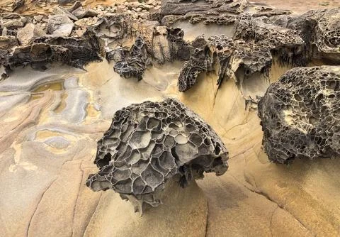 Unique rock formations with intricate textures and patterns on the sandy sh.. 写真素材