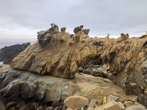 Unique rock formations at Salt Point State Park, California, showcasing int.. Fotos de archivo