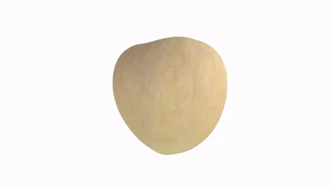 Unique round fruit sculpture displayed in an art gallery setting 스톡 동영상 292682172