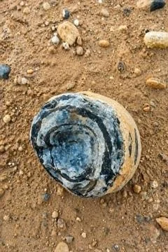 A unique round stone 스톡 사진