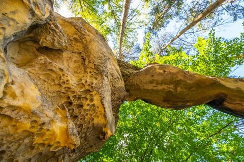 Unique sandstone arch in pine forest Stock Photos