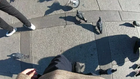 Unique Shadow Play on City Streets Stock Footage 314616578