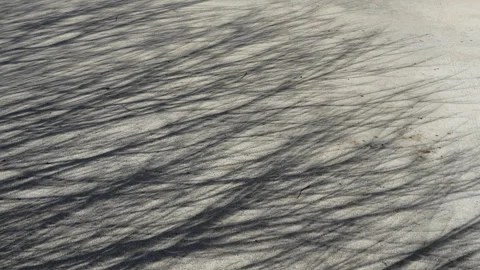 Unique Shadow Of Tree During Solar Eclipse Stock-Footage 271682728