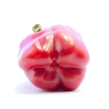 Unique shape bottom red bell chili spicy ingredient Stock Photos