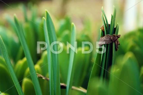 Unique shot Stock Photos