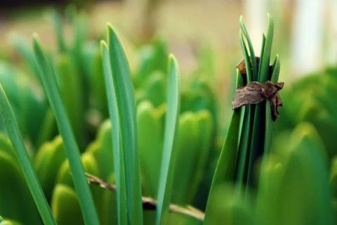 Unique shot Foto stock