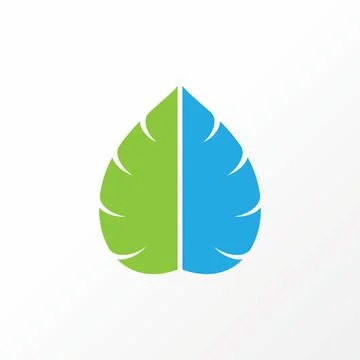 Unique but simple monstera leaf swiss cheese plant stem tropical image graphic Stock Illustration