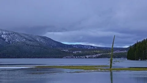 Unique snag hit by brilliant light rays in snowy Paulina Lake Newberry Crater Video stock 81931483