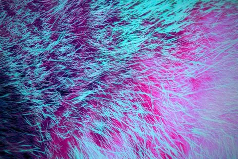 Unique texture and pattern in pink-purple - blue color. Detail of cat fur. Stock Photos