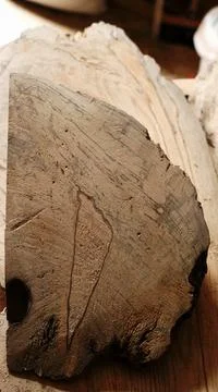 Unique texture of the brushed surface of the solid wood Stock Photos