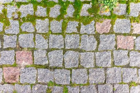 Unique textured cobblestone pathway covered in moss and greenery Stock Photos