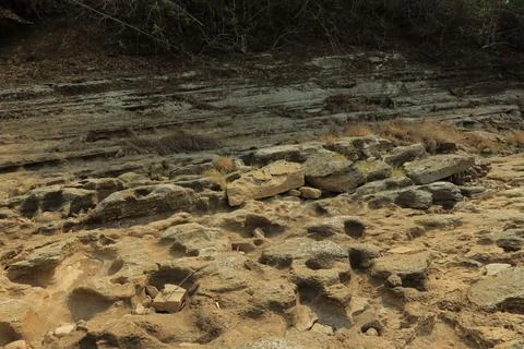 Unique Textured Rocks on a Dry Riverbed Stock Photos