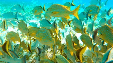 Unique transition to water 動画素材 125409194