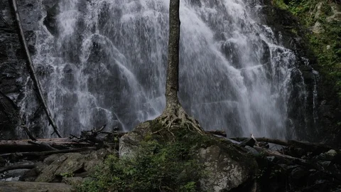 A Unique Tree and Root System at the Base of Crabtree Falls Bluegrass Parkway Stock Footage 103174271