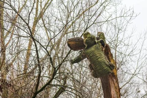 Unique tree art installation featuring a moss-covered bear sculpture Stock Photos