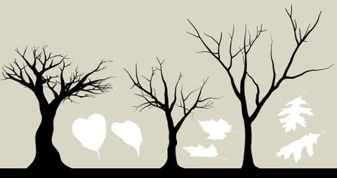 Unique Tree Branches with Leaves Stock Illustration