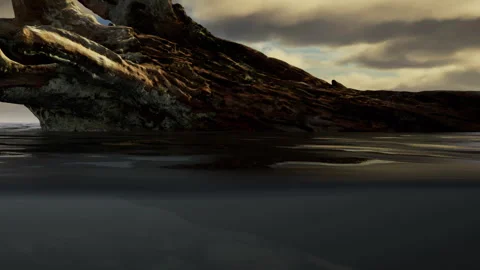 Unique tree structure near water during cloudy weather at dusk Stock Footage 340613486