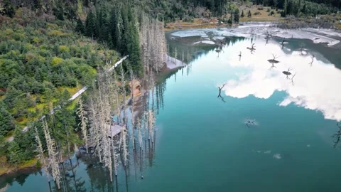 Unique Turquoise Lake with Submerged Dead Trees and Forest Boardwalk China Stock Footage 346590187