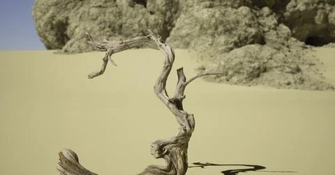 Unique twisted branch stands alone in a vast desert landscape under bright su Stock Illustration