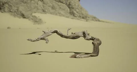 Unique twisted branch in a vast desert landscape during midday sunlight Stock Illustration