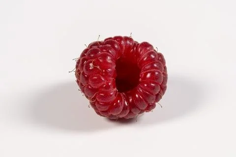 Unique Twisted Raspberry Showcasing Vibrant Red Color and Texture Stock Photos