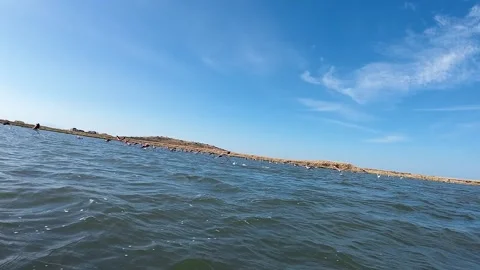 A unique, unrepeatable flight against thousands of flamingos. Stock Footage 293200282