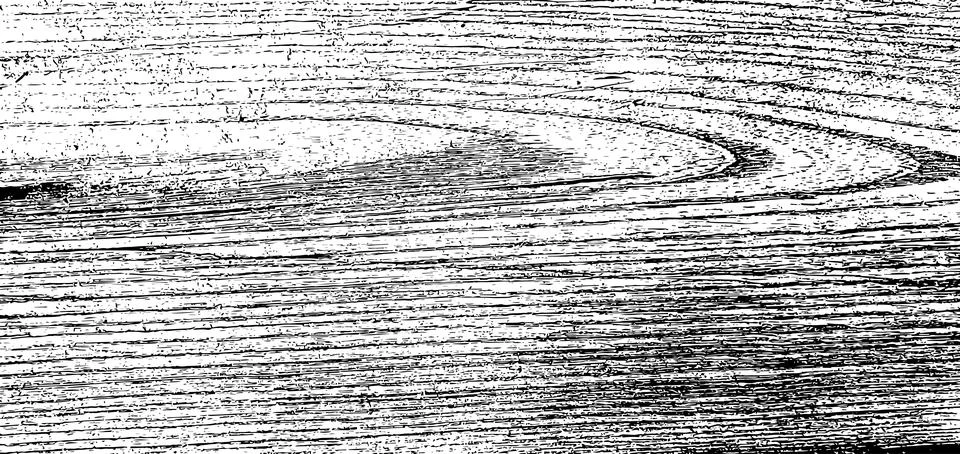 Unique vector grunge texture of aspen cross section イラスト素材