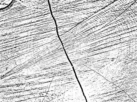 Unique vector grunge texture of an old tree with cracks, grains 스톡 일러스트