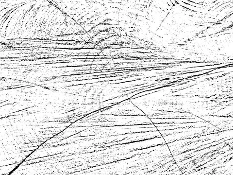 Unique Vector grunge texture of a willow cross-section Stock-Illustration