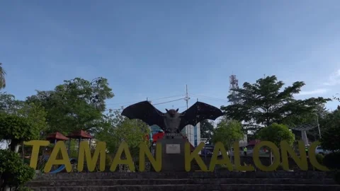 A unique view of a group of bats in the trees, Soppeng, South Sulawesi Stock Footage 241214598