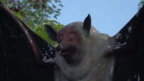 A unique view of a group of bats in the trees, Soppeng, South Sulawesi Stock Footage 241216220