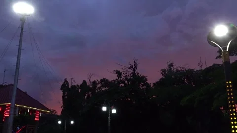 A unique view of a group of bats in the trees, Soppeng, South Sulawesi Stock Footage 241230779