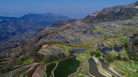 Unique view on mountain slopes transformed into rice paddies. Stock Photos
