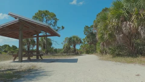 Unique view of a nature trail in Florida! Stock Footage 154609469
