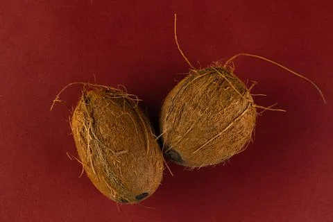 Unique Visual of Two Brown Organic Objects on a Vibrant Red Background Stock Photos