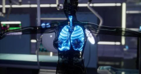 Unique visualization of human lungs in a futuristic medical setting Stock Illustration