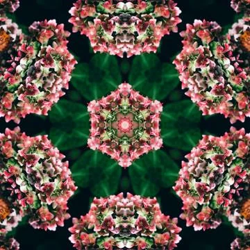 Unique wallpaper Stock Illustration