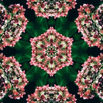 Unique wallpaper Stock Illustration