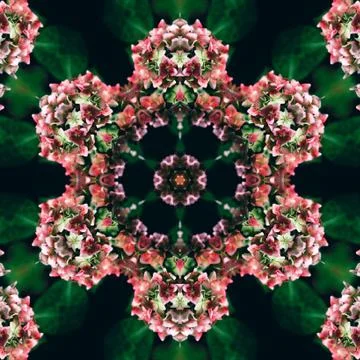 Unique wallpaper Stock Illustration