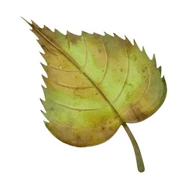 Unique watercolor leaf design suitable for autumn-themed textile and wrappi.. Stock Illustration