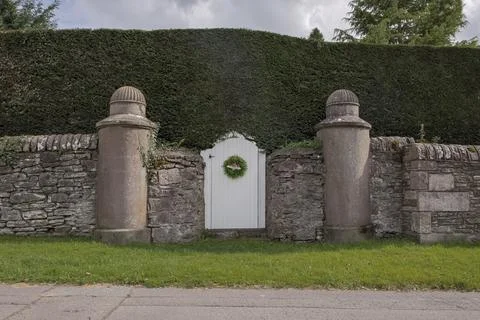 Unique white arched gate in a large conifer hedge Stock Photos